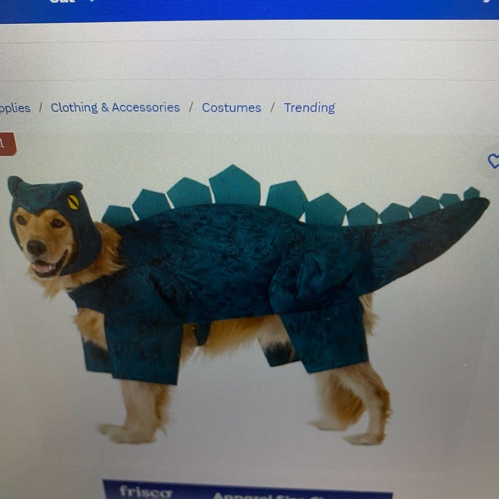 Dinosaur Dog Costume in Green